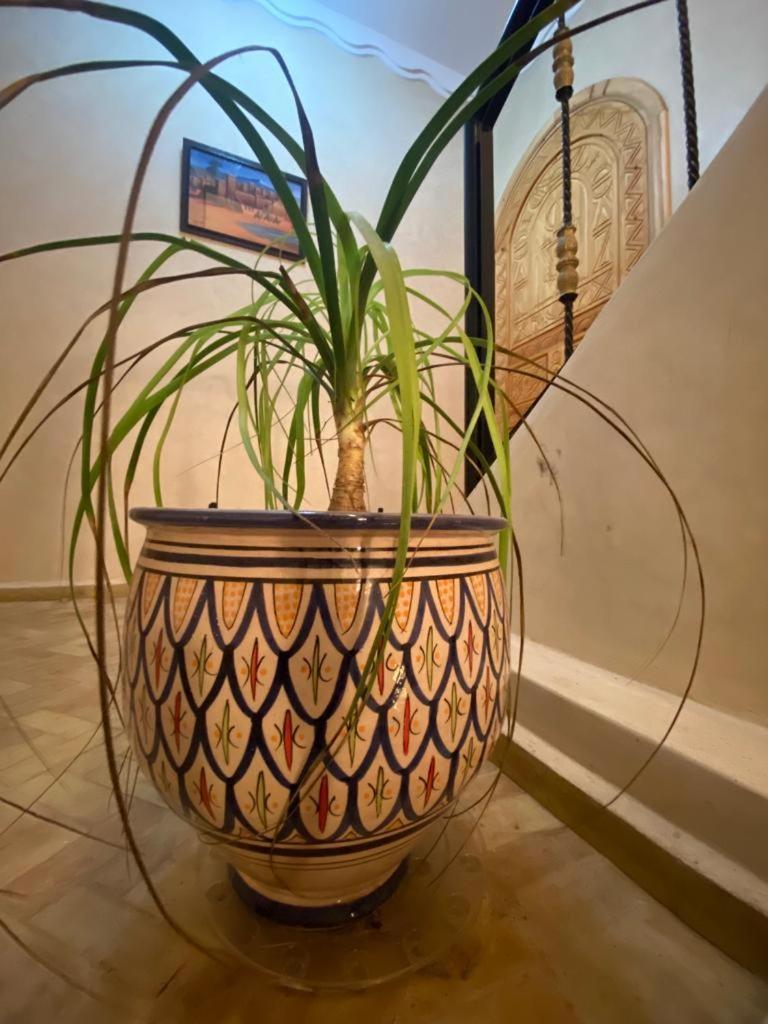 Dar diafa samira Apartment Mirleft Bagian luar foto